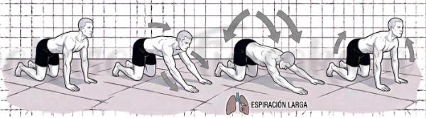 Dorsal gatas